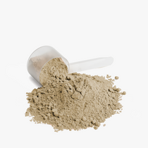 The CORE Vegan Plant Protein (Vanilla)